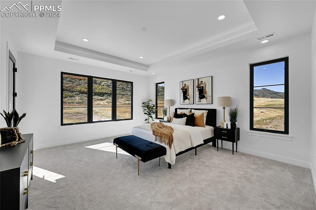 5549 Remuda Ranch Parkway Sedalia, CO 80135 - Photo 19 of 39 a spacious bedroom with a bed and window