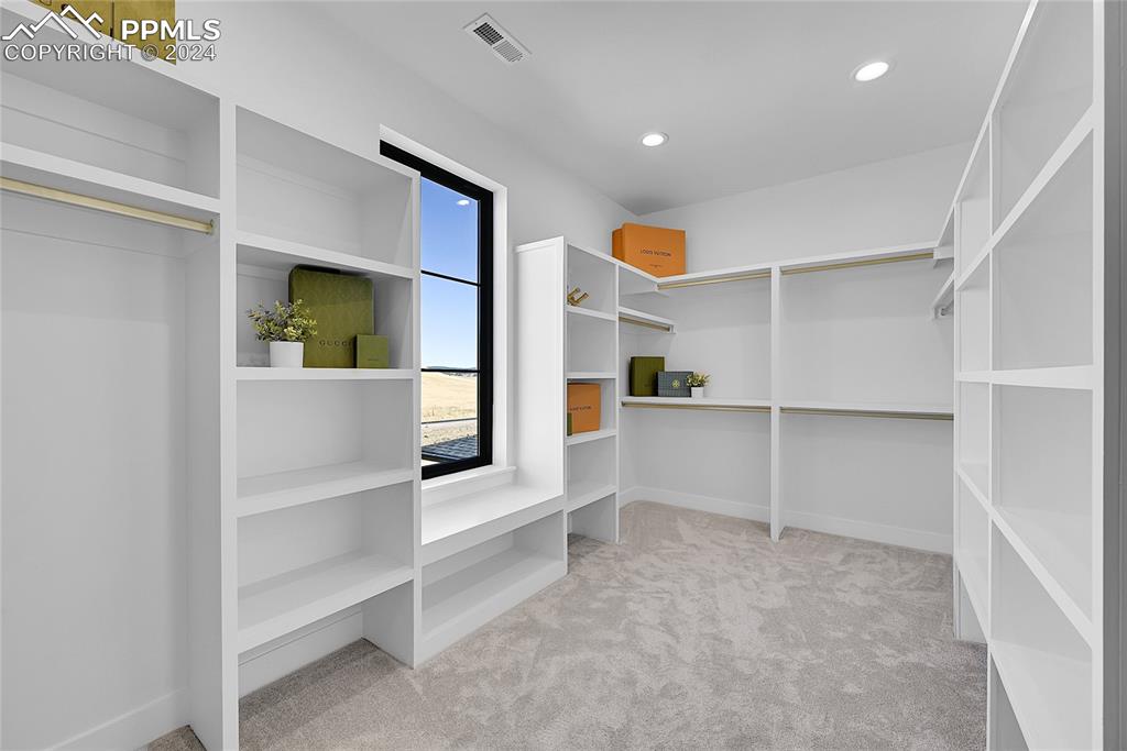 5549 Remuda Ranch Parkway Sedalia, CO 80135 - Photo 22 of 39 a view of an empty room with cabinet and mirrors