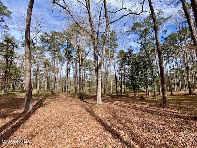 2171 Emerald Lane Magnolia, MS 39652 - Photo 26 of 32 IMG_8390