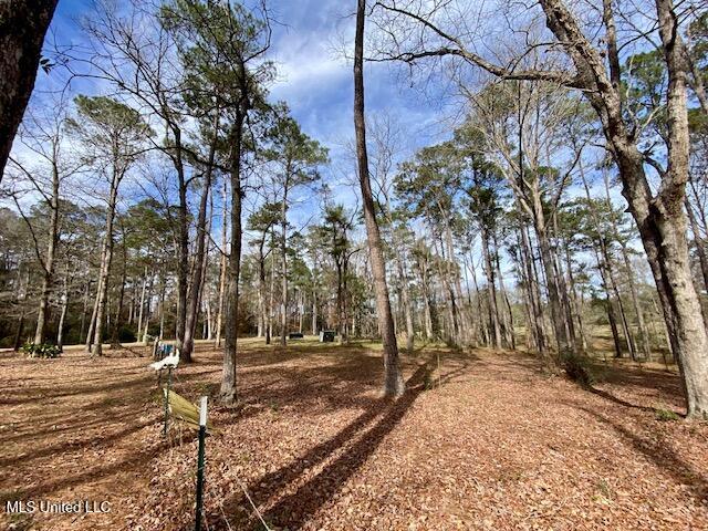 2171 Emerald Lane Magnolia, MS 39652 - Photo 27 of 32 IMG_8391