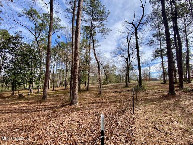 2171 Emerald Lane Magnolia, MS 39652 - Photo 28 of 32 IMG_8392