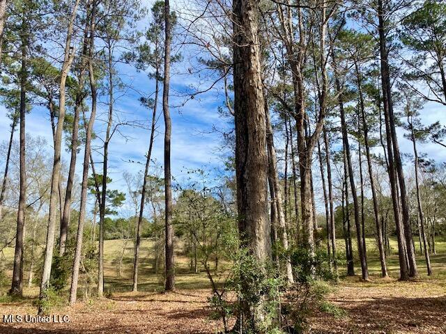 2171 Emerald Lane Magnolia, MS 39652 - Photo 29 of 32 IMG_8393
