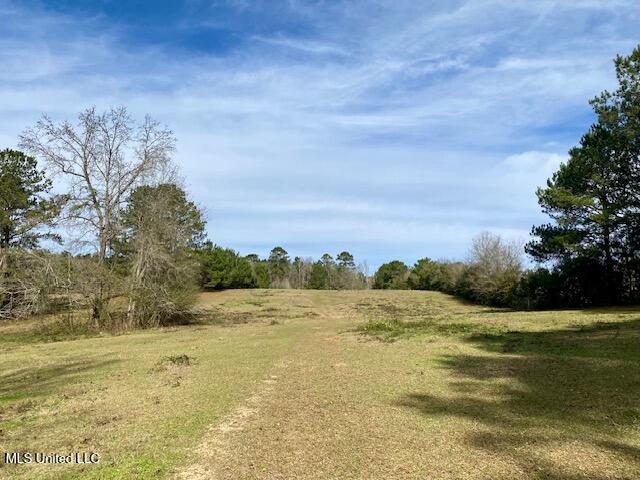 2171 Emerald Lane Magnolia, MS 39652 - Photo 30 of 32 IMG_8394