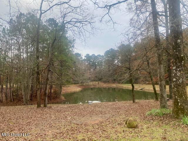 2171 Emerald Lane Magnolia, MS 39652 - Photo 3 of 32 IMG_8122