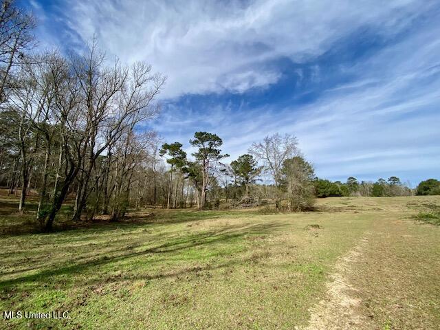 2171 Emerald Lane Magnolia, MS 39652 - Photo 31 of 32 IMG_8395
