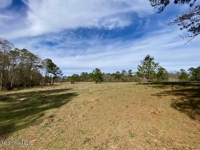 2171 Emerald Lane Magnolia, MS 39652 - Photo 32 of 32 IMG_8396