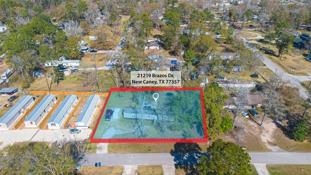 a view of road with large trees