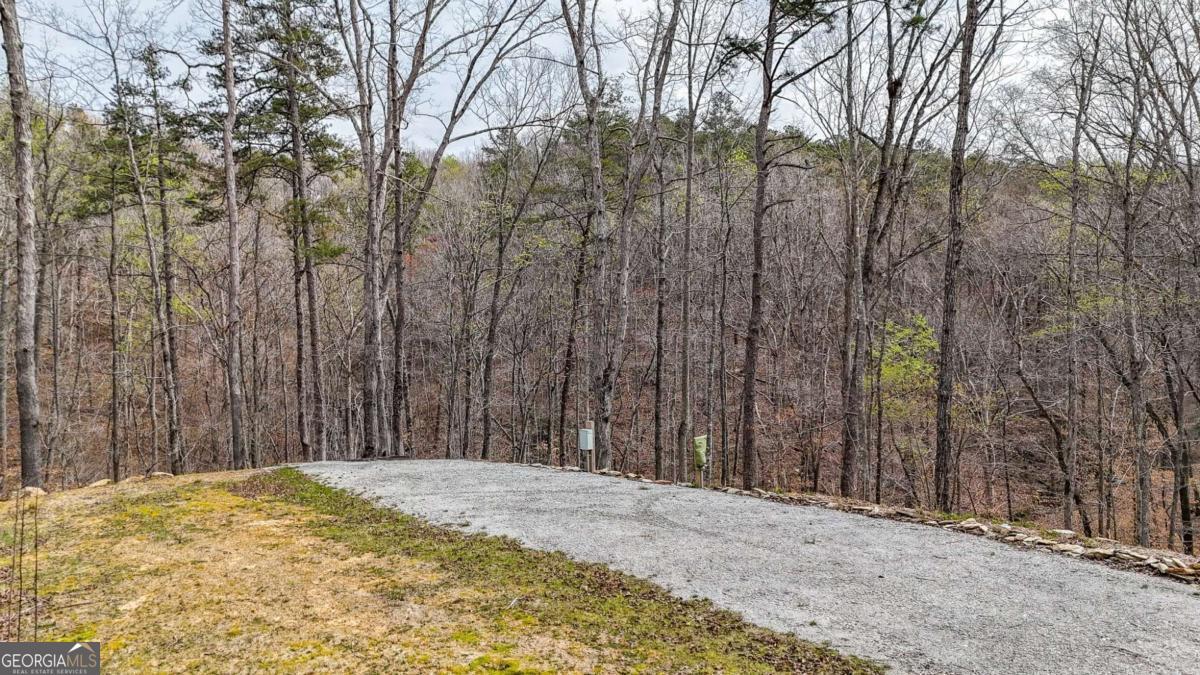 0 Felton Rockmart Road Buchanan, GA 30113 - Photo 10 of 47