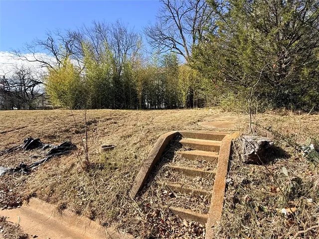 a view of a dry yard with trees