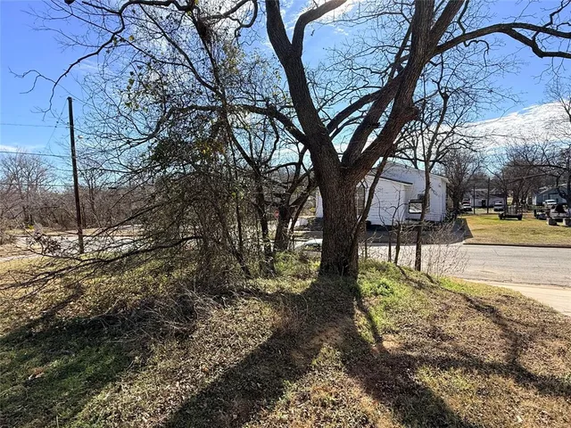 a view of a yard with plants and trees