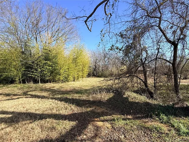 a view of back yard of the house