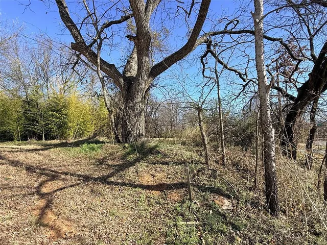 a backyard of a house with large trees