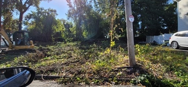 22 Enid Street Worcester, MA 01604 - Photo 3 of 3 a view of a backyard with plants and large trees