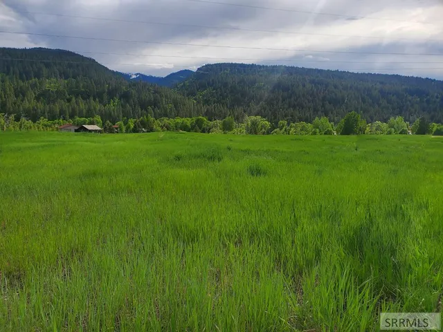 $225,000 | Tbd Raven Road, Irwin, ID 83428