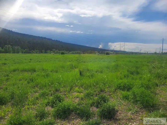 $225,000 | Tbd Raven Road, Irwin, ID 83428