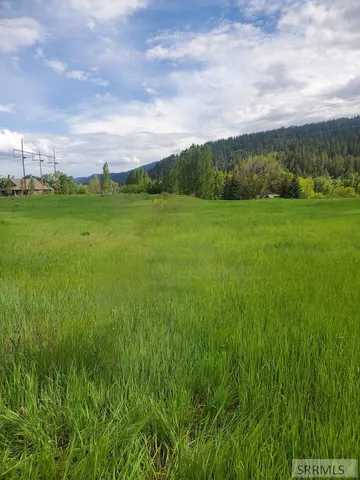 $225,000 | Tbd Raven Road, Irwin, ID 83428