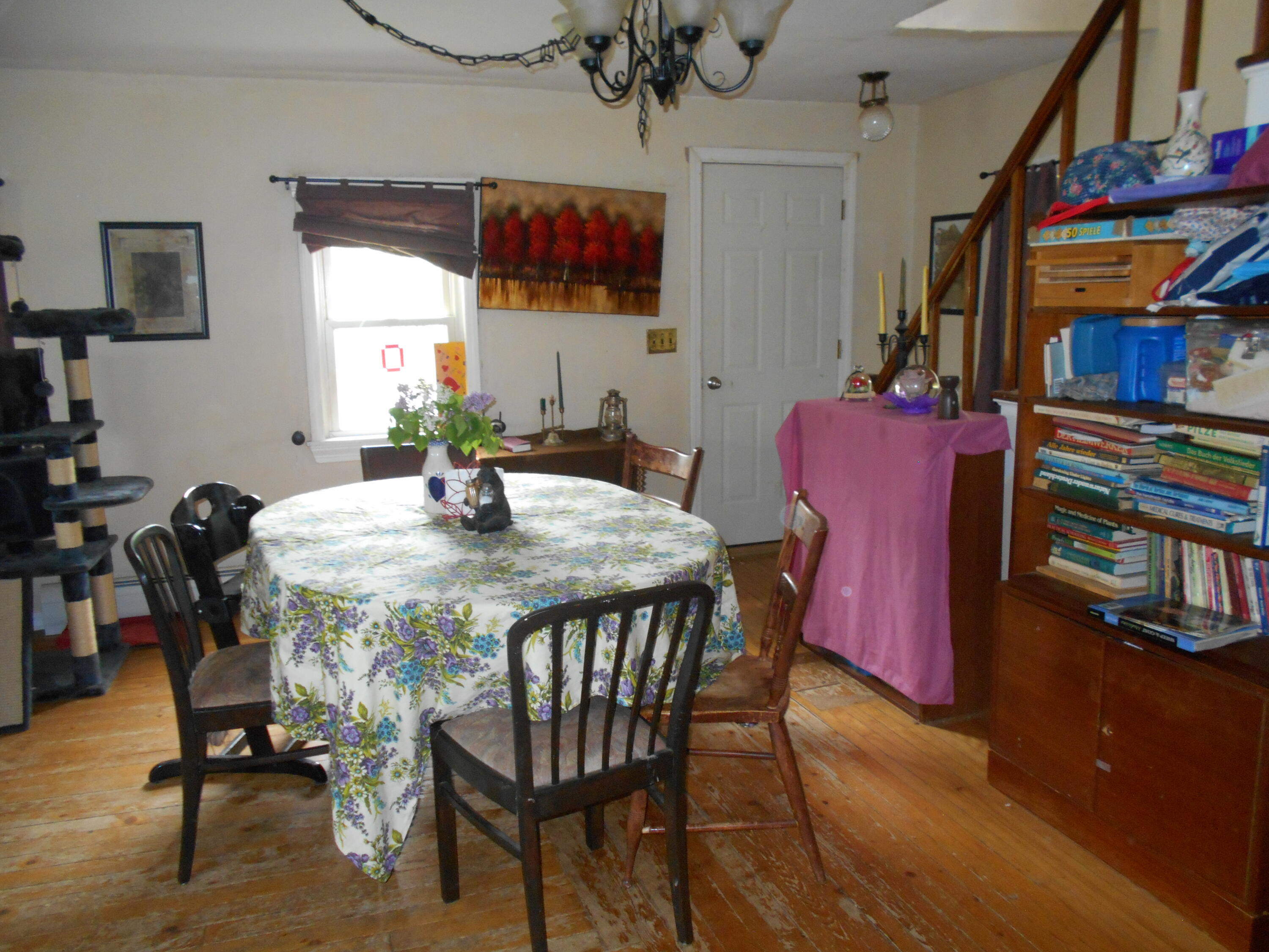 840 North Chester Road Lincoln, ME 04457 - Photo 57 of 68 DSCN7815