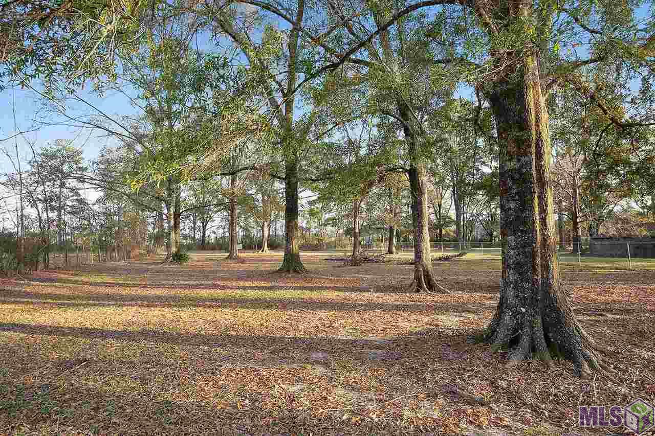 23642 Joe May Road Denham Springs, LA 70726 - Photo 2 of 15 Gallery Image 2