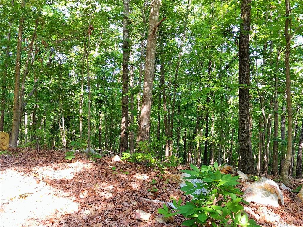 0 Clodfelter Road Albemarle, NC 28001 - Photo 7 of 24 Gallery Image 7