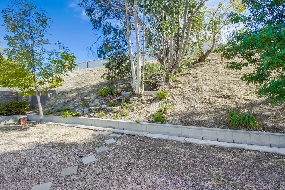 1376 Panorama Ridge Road Oceanside, CA 92056 - Photo 46 of 50 a view of a yard with an tree