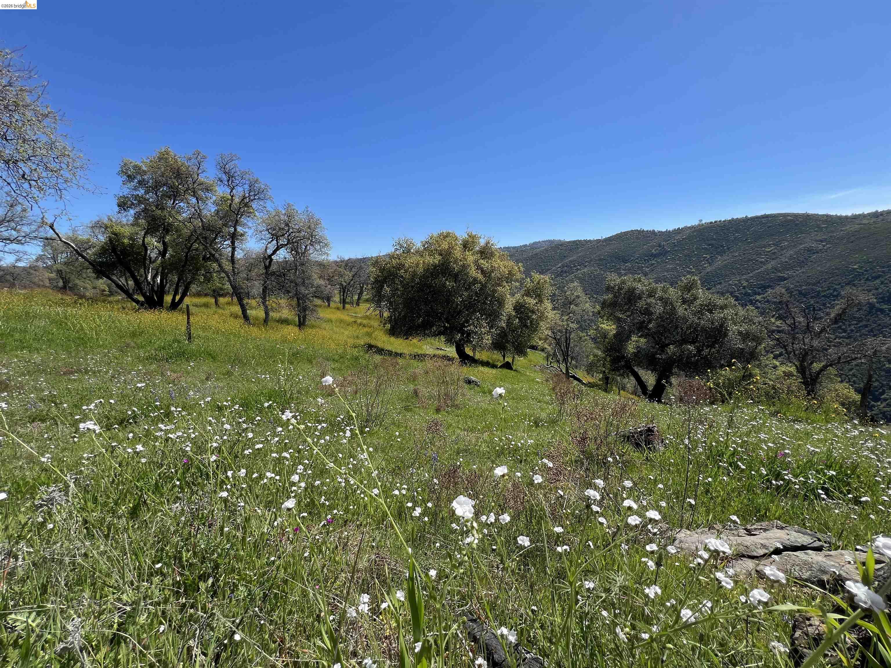 45-ac Powell Ranch Road Sonora, CA 95370 - Photo 22 of 24 a view of a lush green space