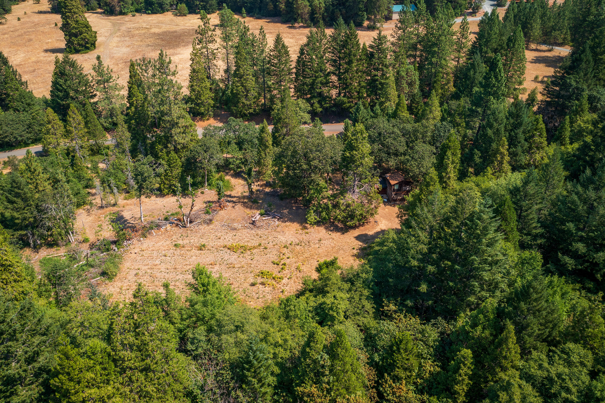 8595 Deer Creek Road Selma, OR 97538 - Photo 4 of 17 8595DeerCreekRd-017