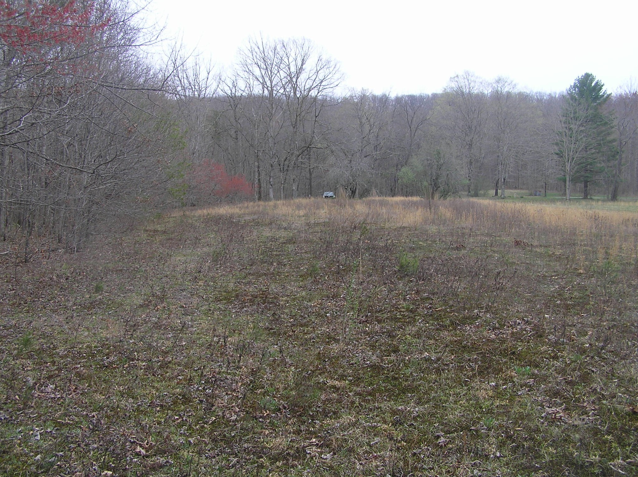 99 Prater Road Pikeville, TN 37367 - Photo 15 of 29 Gallery Image 15
