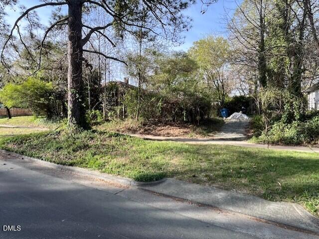 2121 Ruffin Street Durham, NC 27704 - Photo 27 of 31 Driveway from Glendale Ave