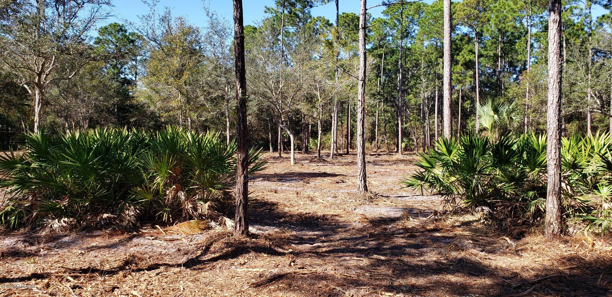 0 Owens Road Fernandina Beach, FL 32034 - Photo 10 of 11 IMG_2993