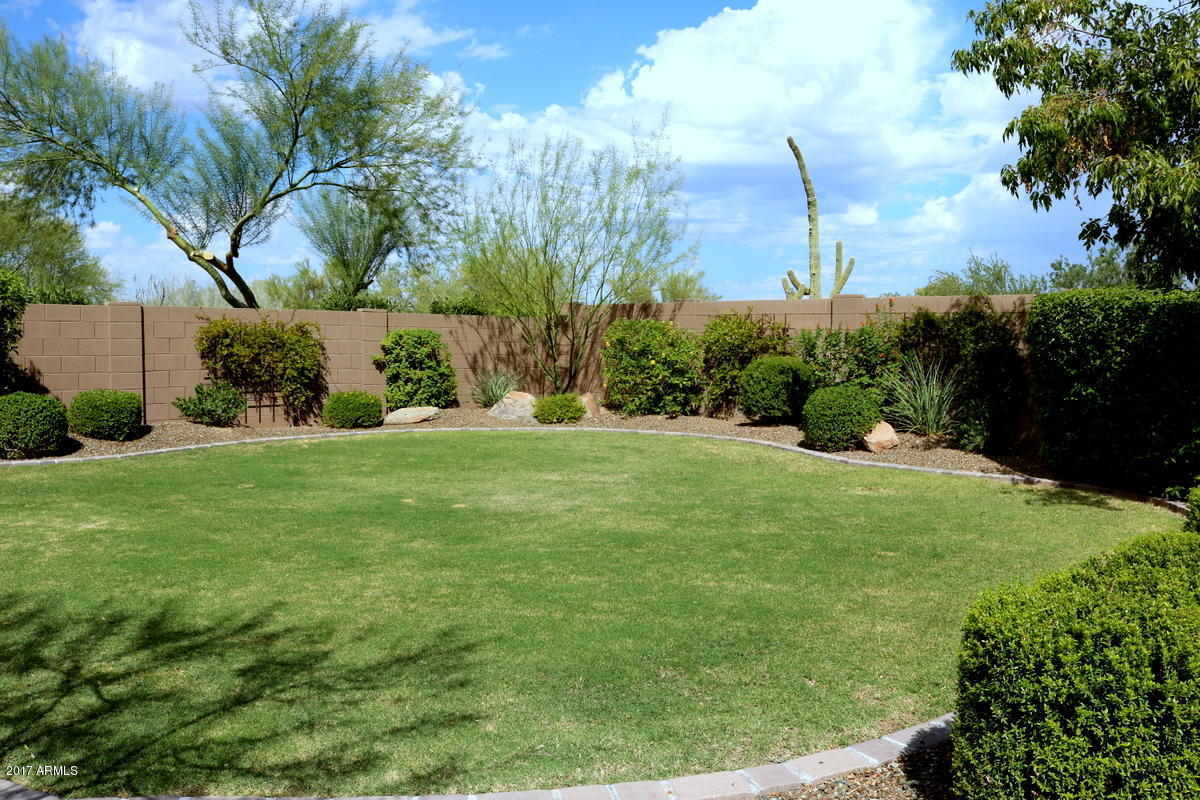 4740 East Sleepy Ranch Road Cave Creek, AZ 85331 - Photo 28 of 50 Grass!!!!