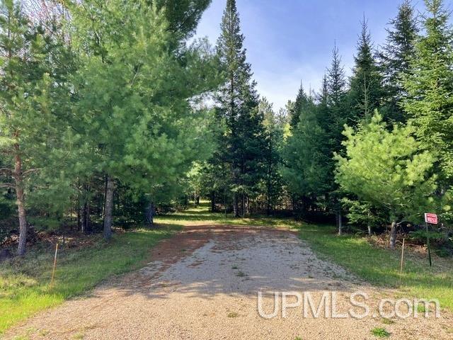 T-wi Wi 54156 Road Pembine, WI 54156 - Photo 1 of 17