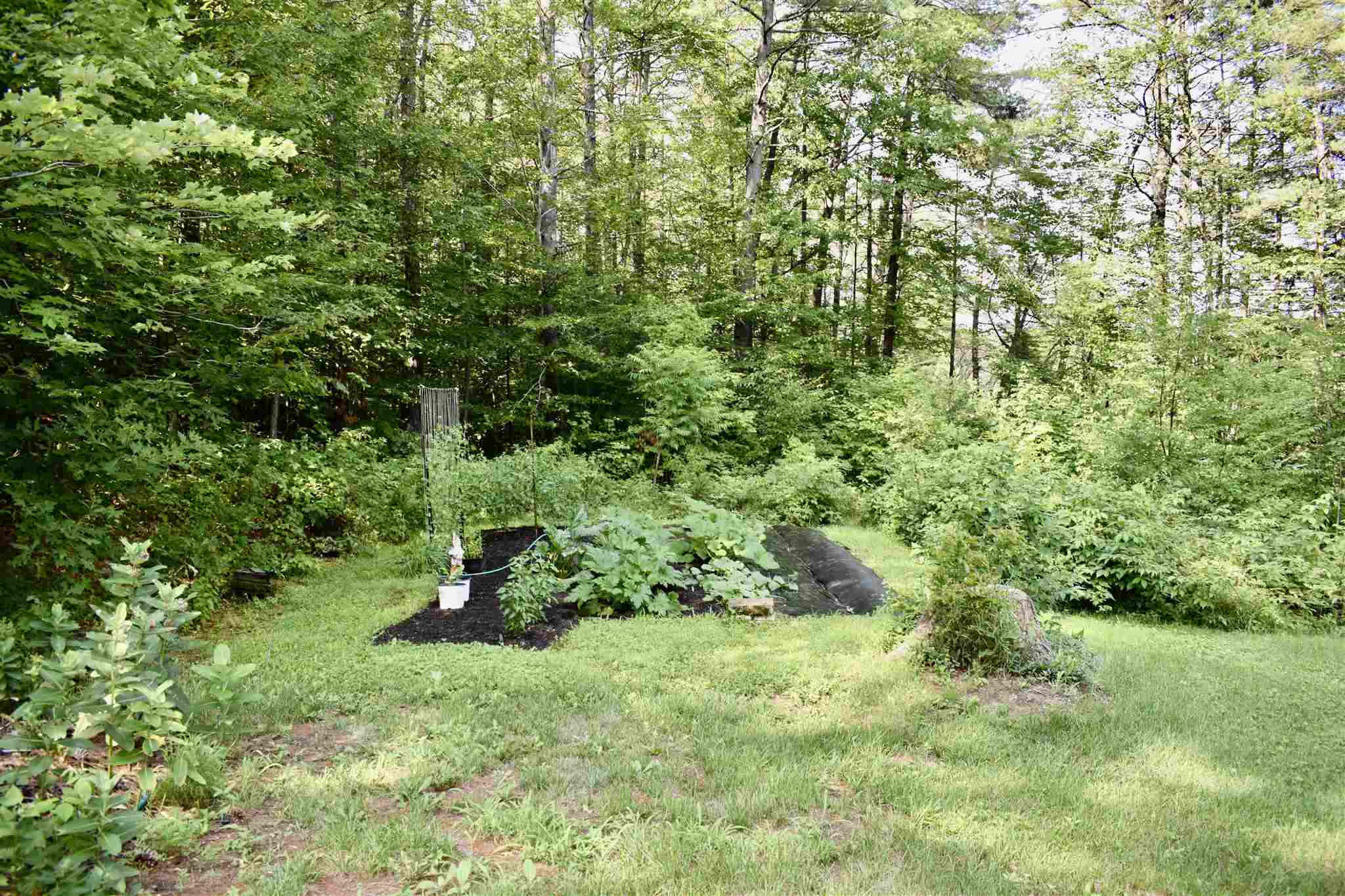 18 Wildwood Road Albany, NH 03818 - Photo 8 of 27 Gallery Image 8