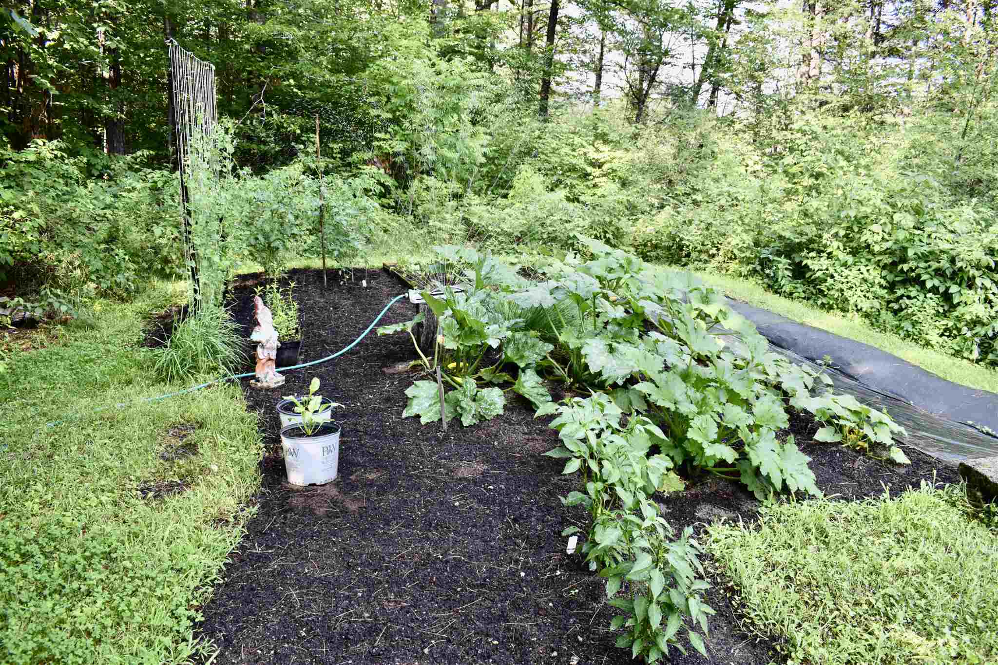 18 Wildwood Road Albany, NH 03818 - Photo 9 of 27 Gallery Image 9