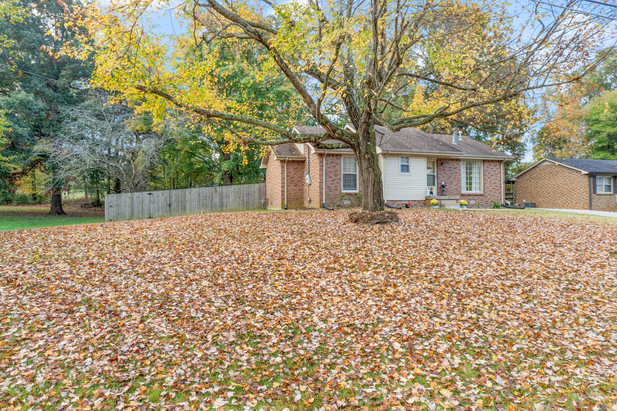 110 Nottingham Road Dickson, TN 37055 - Photo 34 of 34 front view of a house with a large tree