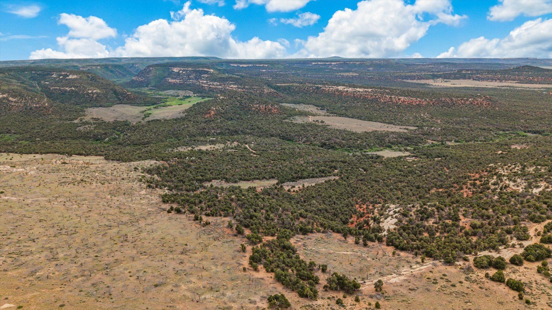 9 South 9 8/10 Road Glade Park, CO 81523 - Photo 8 of 9 a view of a yard
