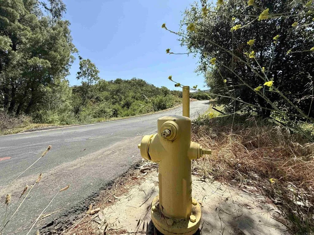 0 Mt Olympus Valley Road Fallbrook, CA 92028 - Photo 22 of 50 Fire Hydrant nearby