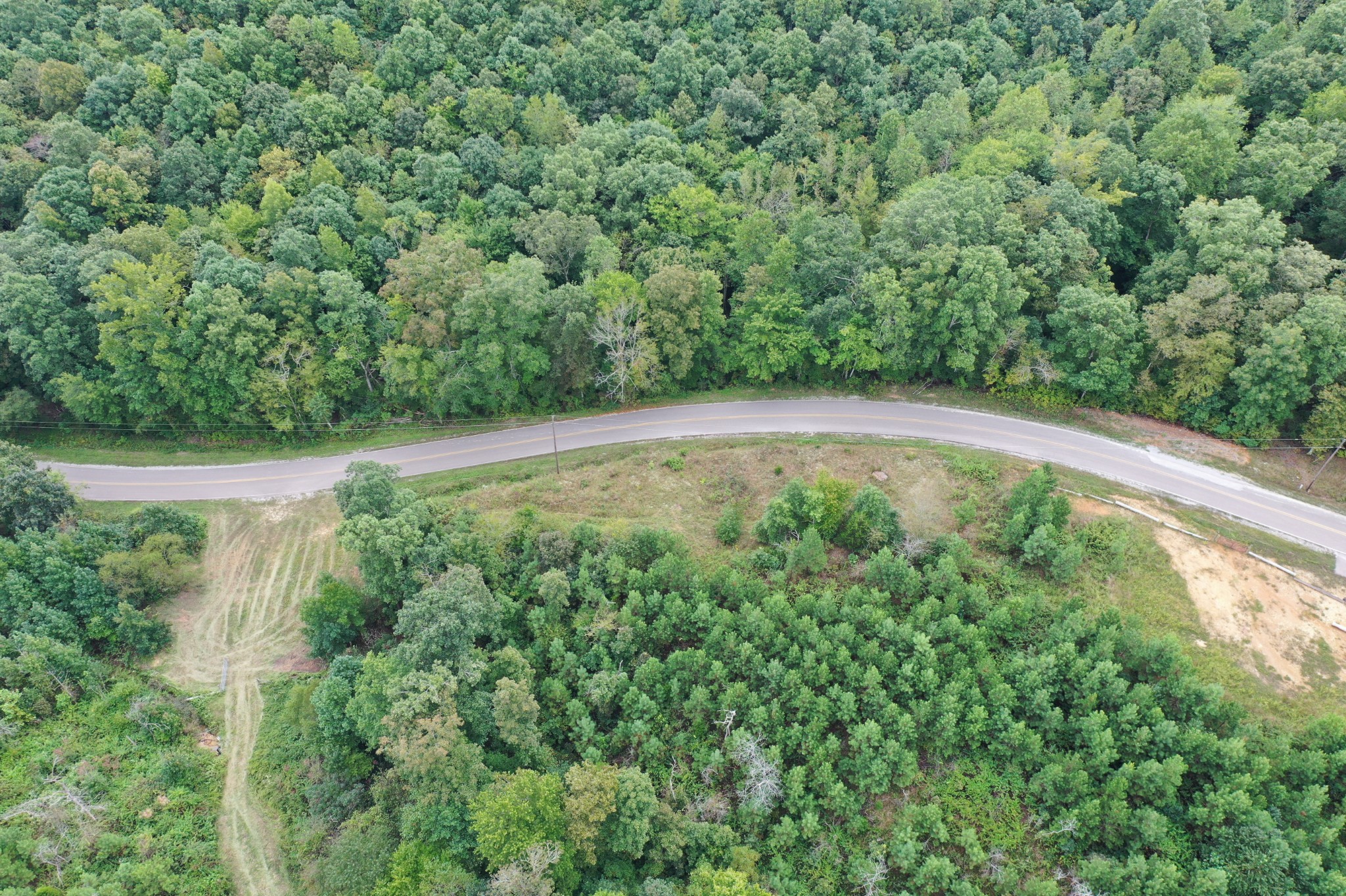 0 Haynes Road Sugar Tree, TN 38380 - Photo 22 of 29 Gallery Image 22