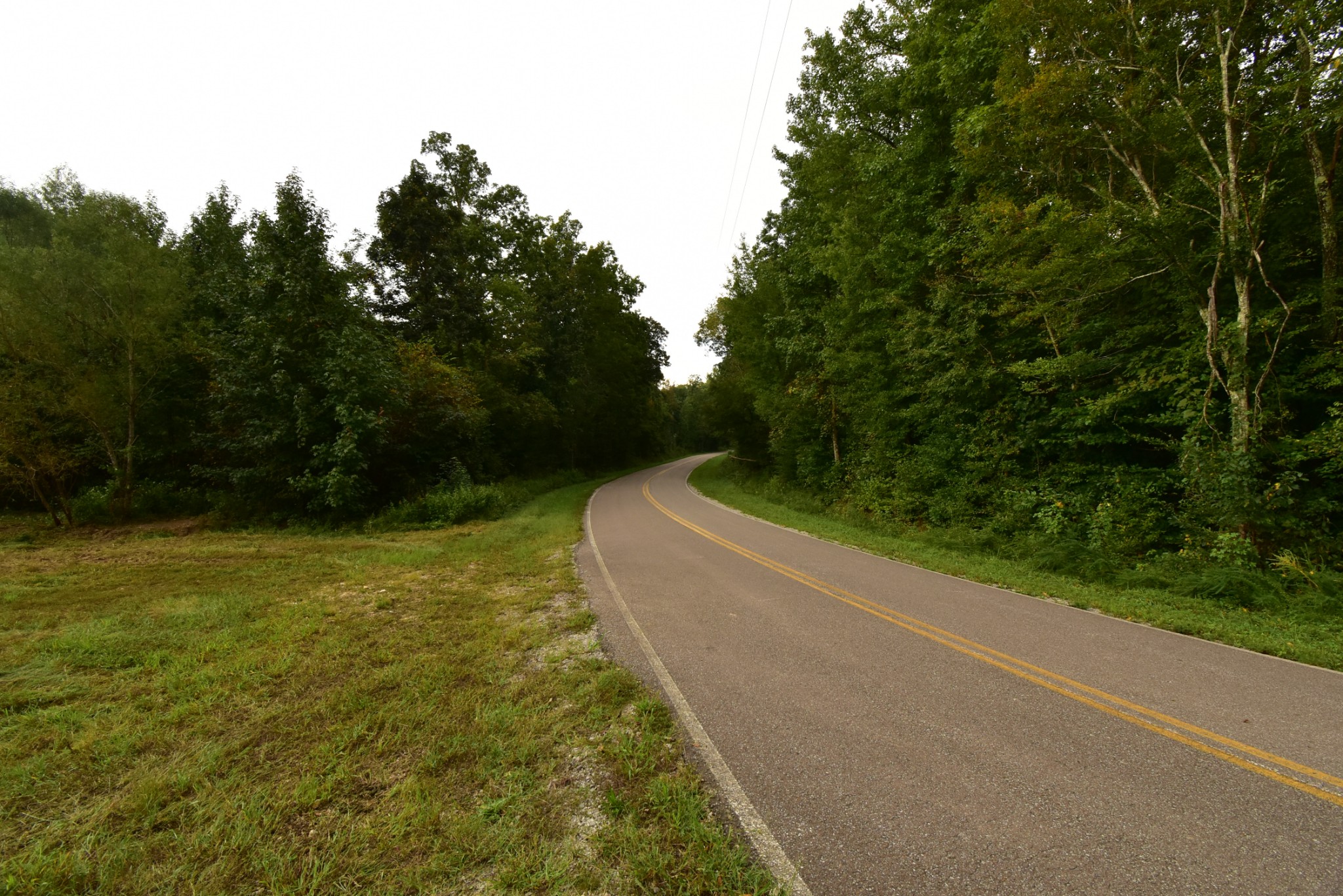 0 Haynes Road Sugar Tree, TN 38380 - Photo 8 of 29 Gallery Image 8