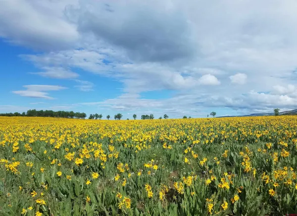 $999,000 | Tbd Hanks Valley Road, Montrose, CO 81403