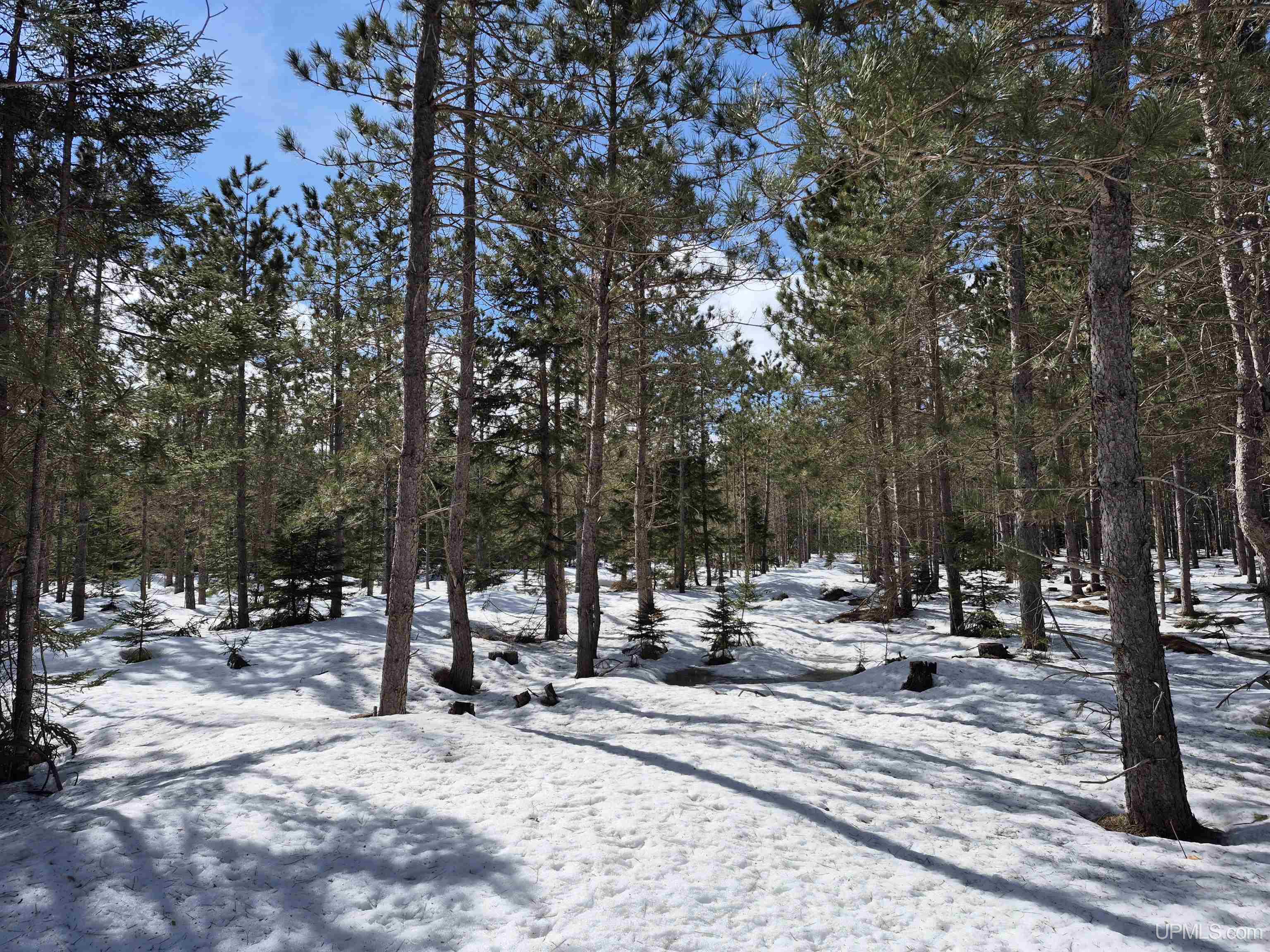 40-acres Off Flodin Road Manistique, MI 49854 - Photo 12 of 23