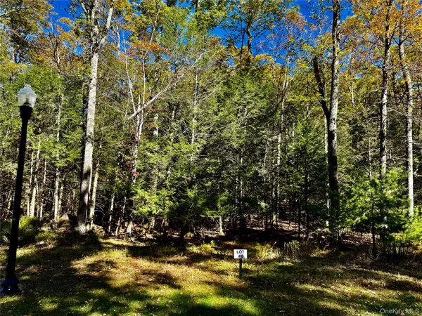 a view of swimming pool yard