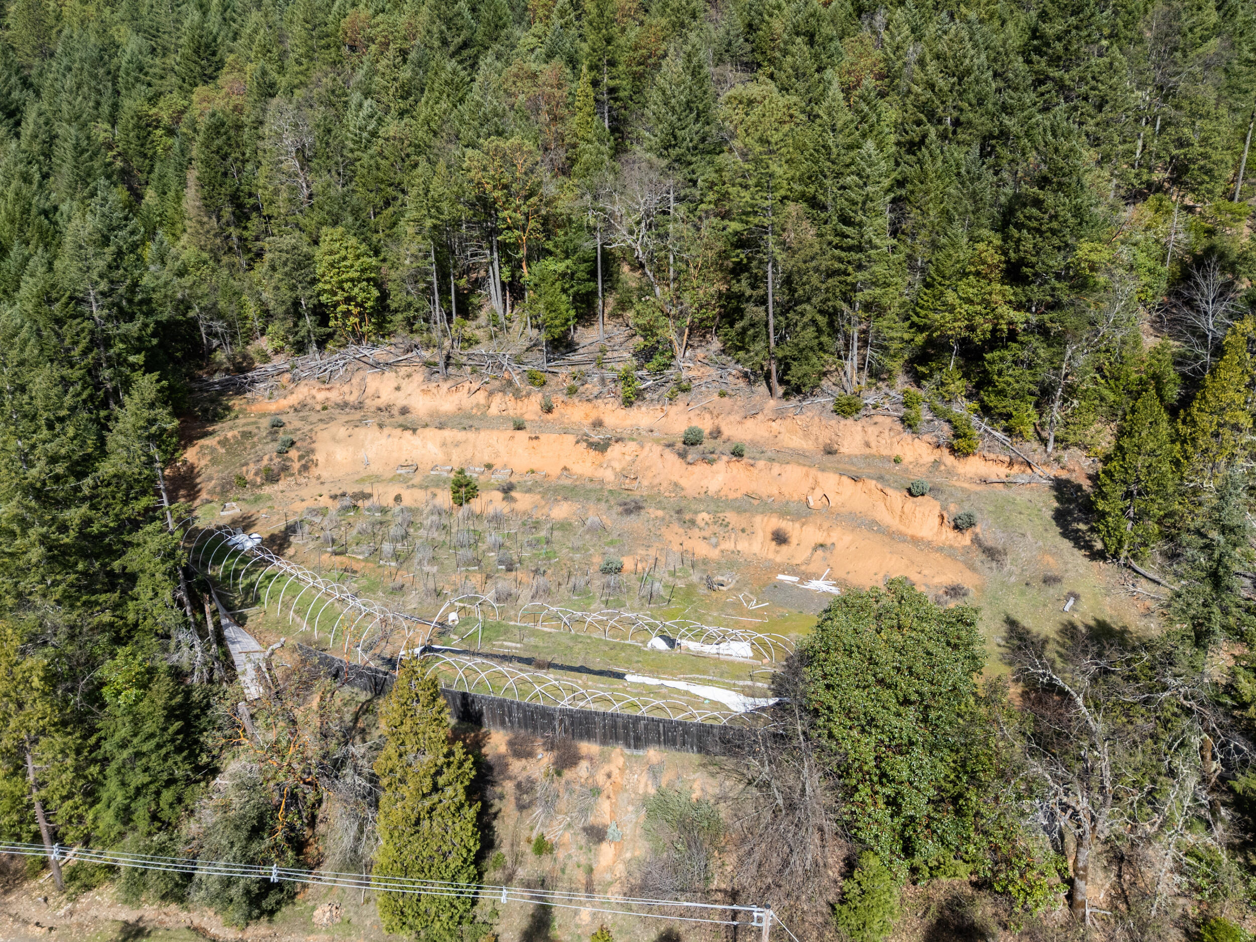 1324 Terrace Heights Road Selma, OR 97538 - Photo 12 of 23 7_1324 terrace heights rd, selma, or 975