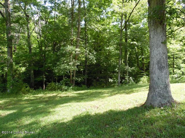 502 Thomason Road Clarkson, KY 42726 - Photo 9 of 16 502 Thomason Judy Gray 009 (Small)