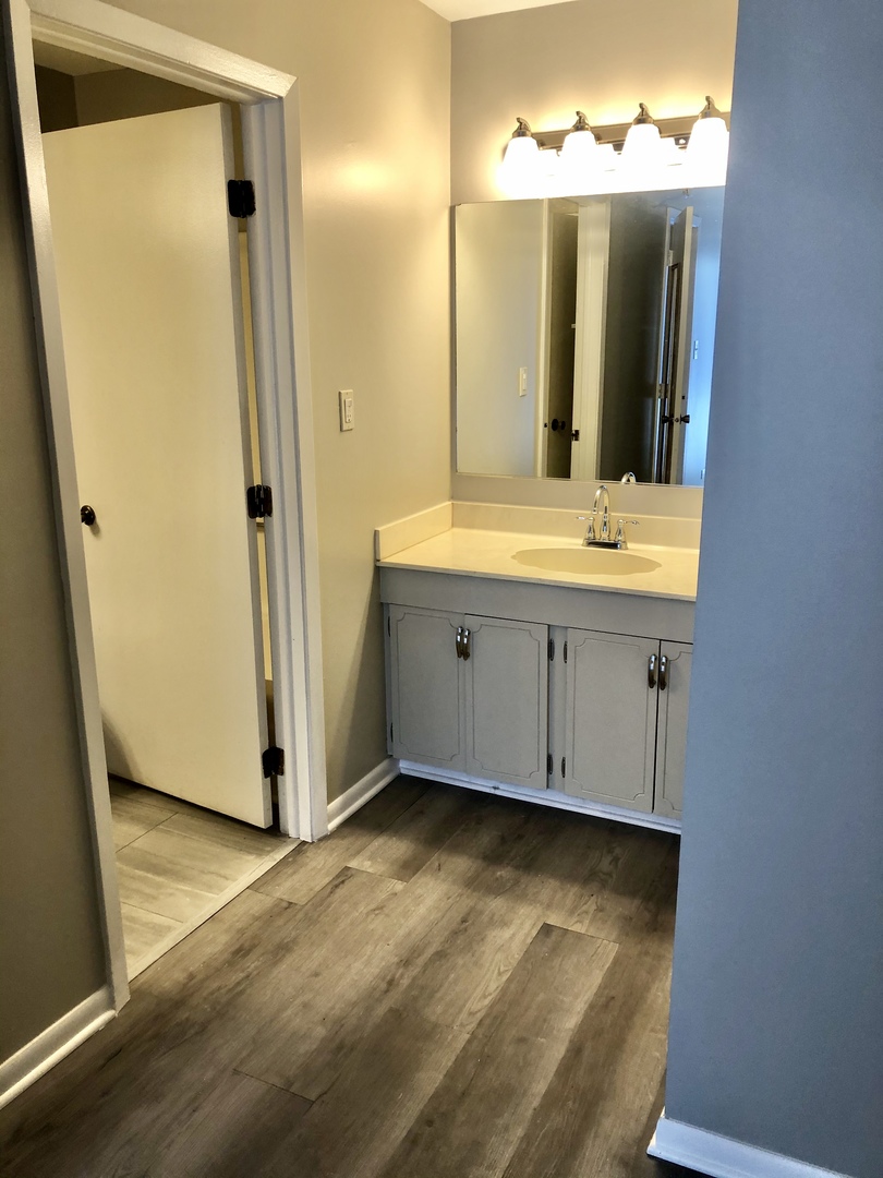 1769 Raleigh Lane Hoffman Estates, IL 60169 - Photo 11 of 17 a bathroom with a double vanity sink and mirror