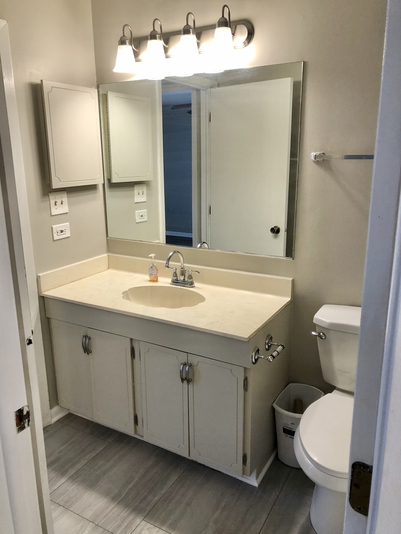 1769 Raleigh Lane Hoffman Estates, IL 60169 - Photo 12 of 17 a bathroom with a sink and mirror with toilet