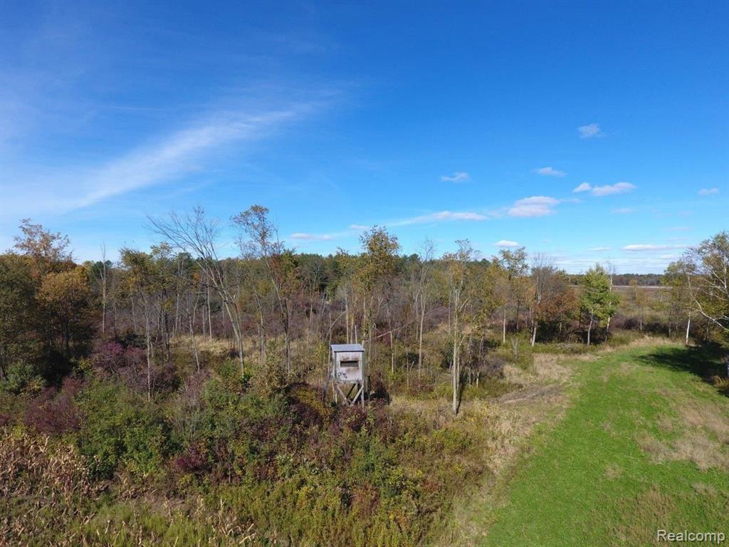 29.79-ac Snoblin Road North Branch, MI 48461 - Photo 8 of 11