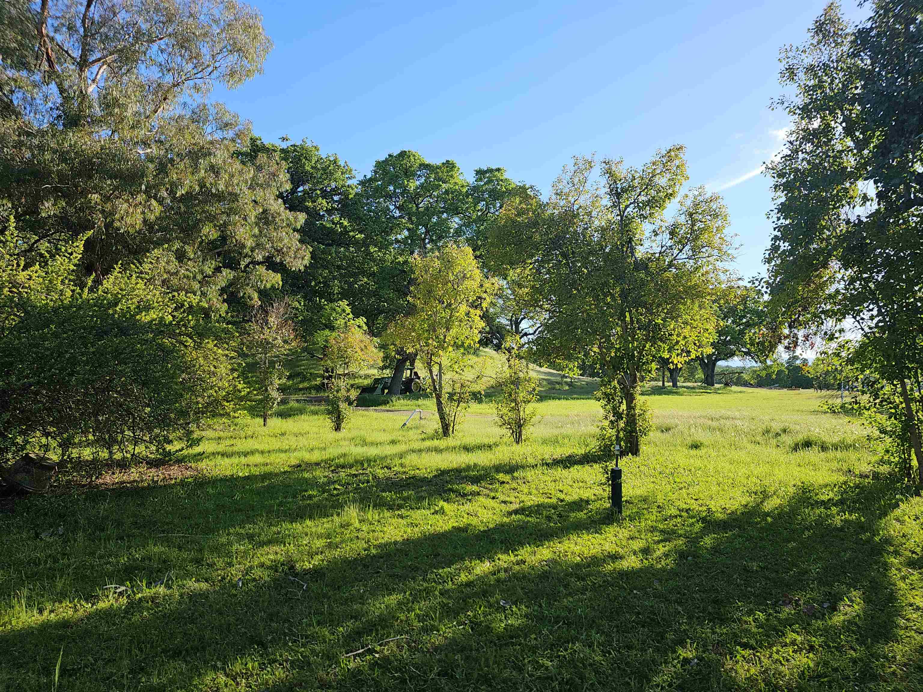 17300 Red Bank Road Red Bluff, CA 96080 - Photo 49 of 67