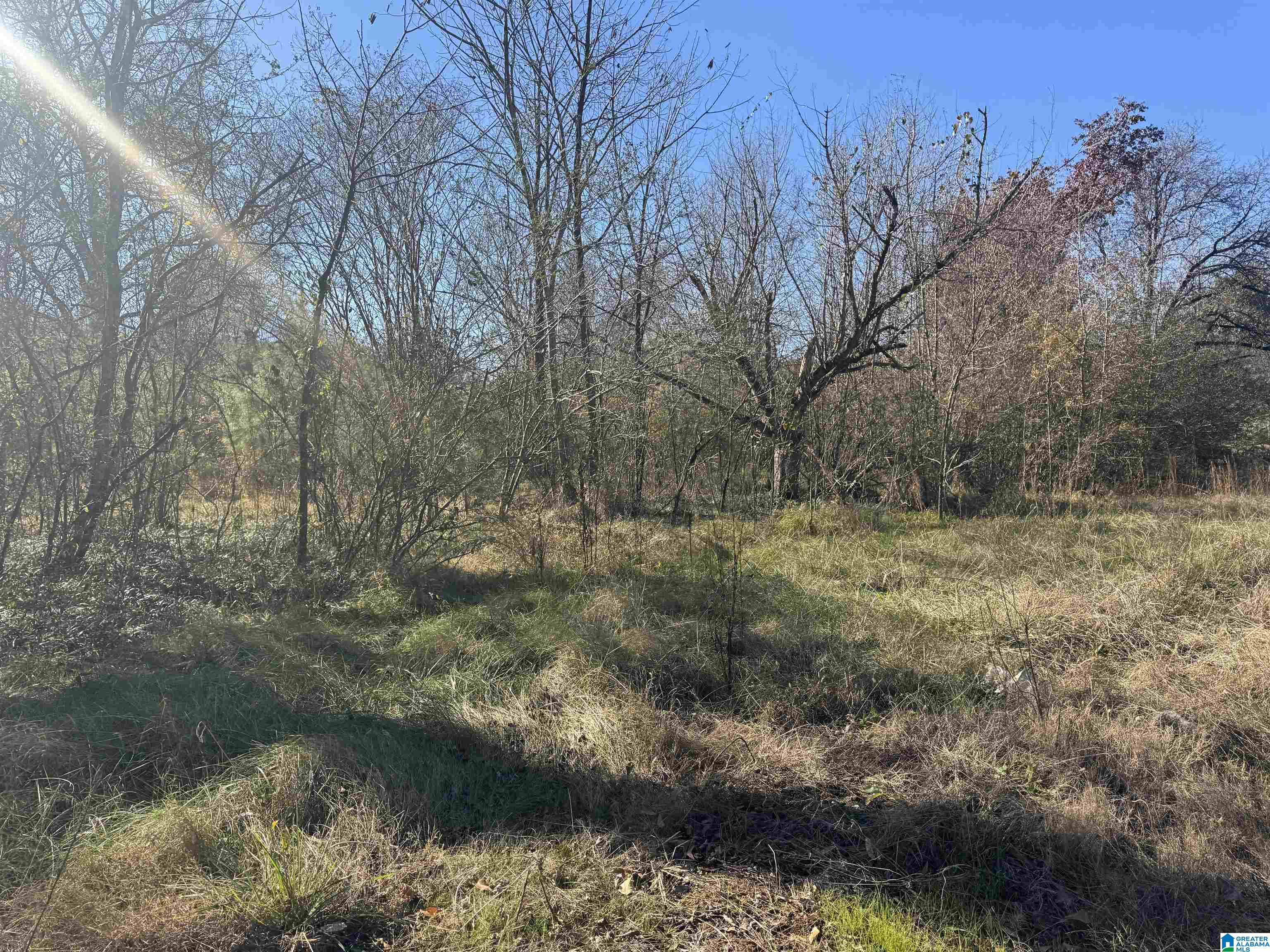 0 Glade Road, Unit 1 Anniston, AL 36206 - Photo 9 of 30