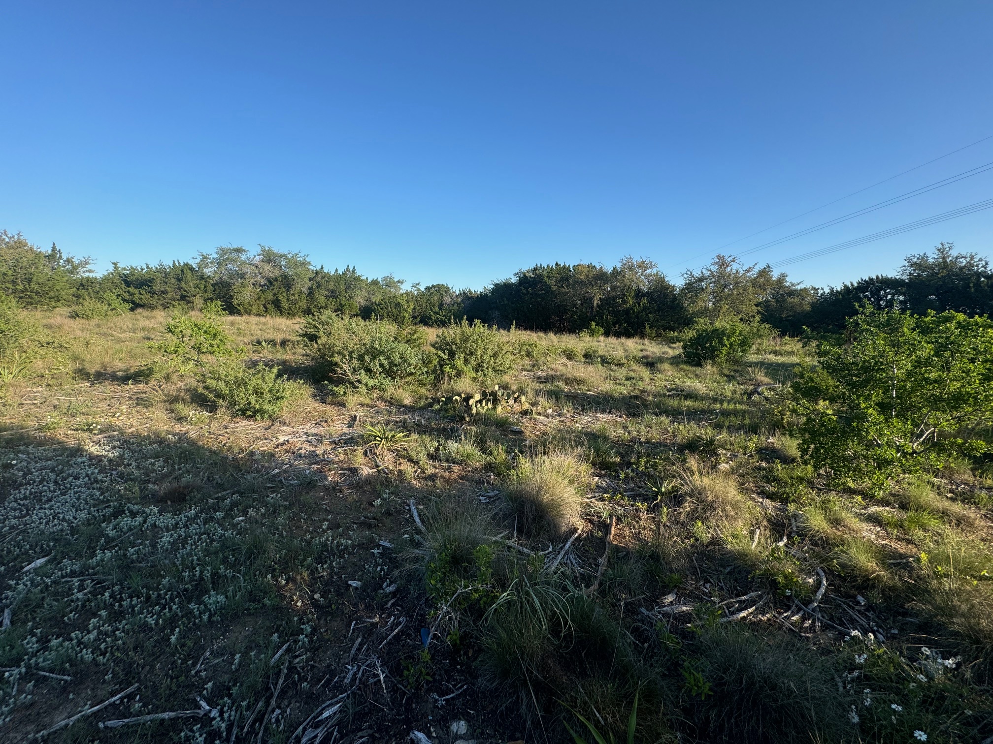 608 Marly Way, Unit 5 Austin, TX 78733 - Photo 14 of 30 View of lot