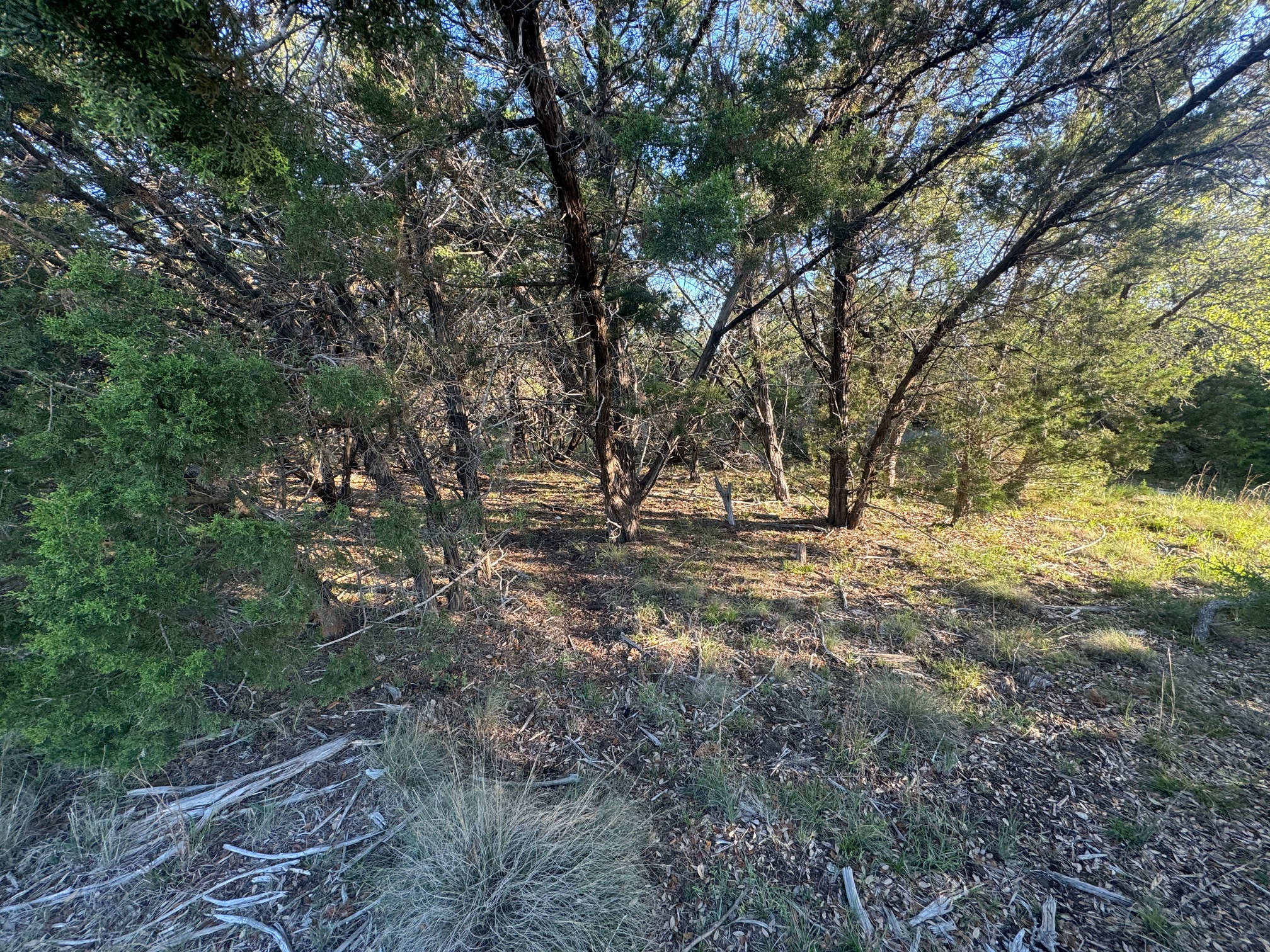 608 Marly Way, Unit 5 Austin, TX 78733 - Photo 16 of 30 View of nature with a view of trees on the lot